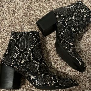 Steve Madden snake skin booties